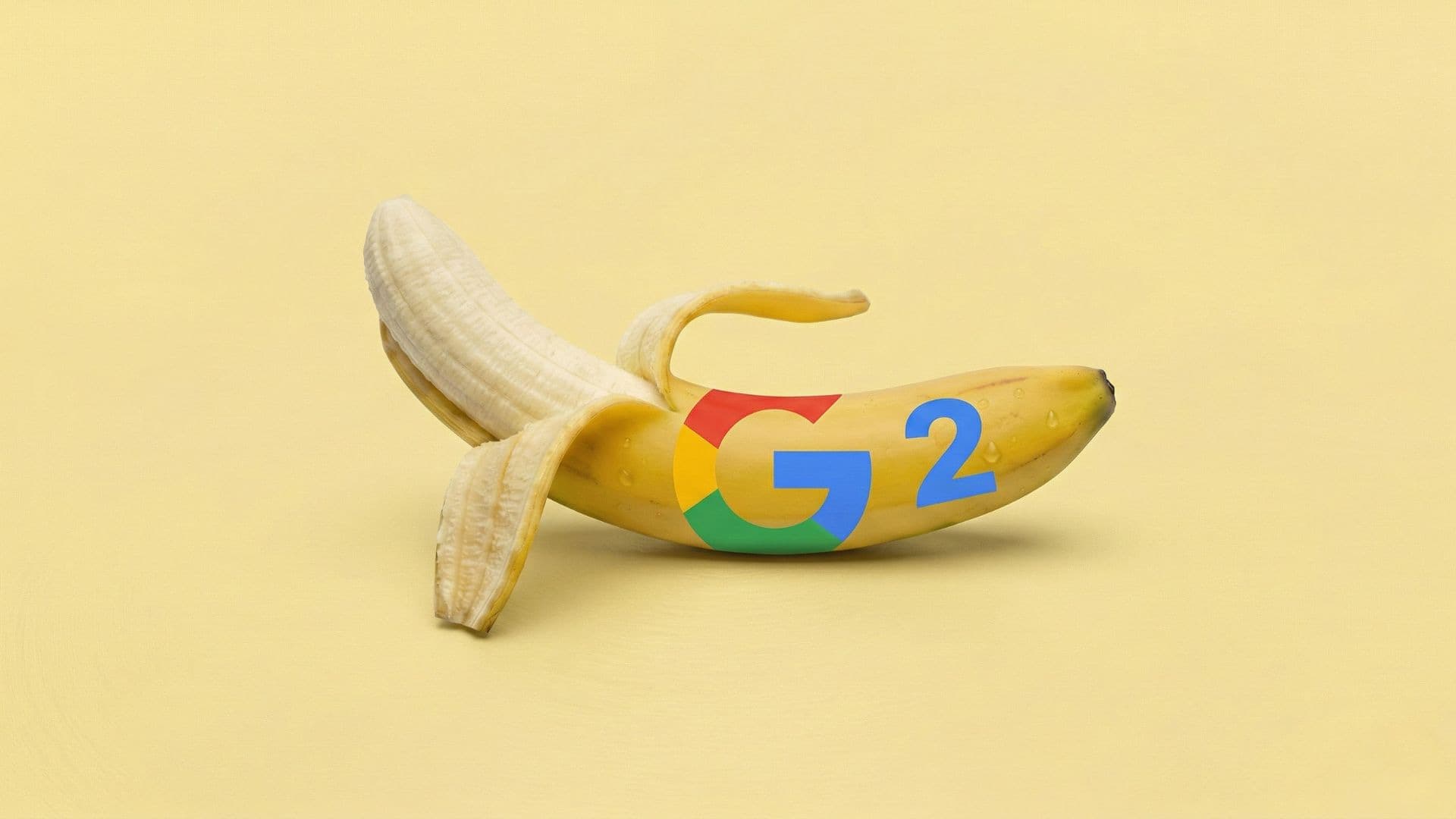 Mountain landscape with a lone tree in the foreground